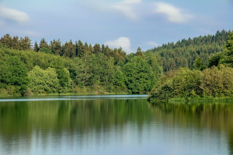 lake, waters, water